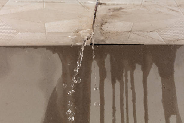 Professional Sewage Cleanup technician working in East Lynne, MO